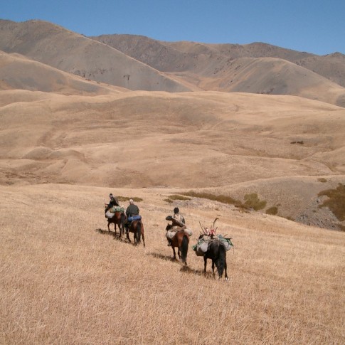 Sustainable hunting